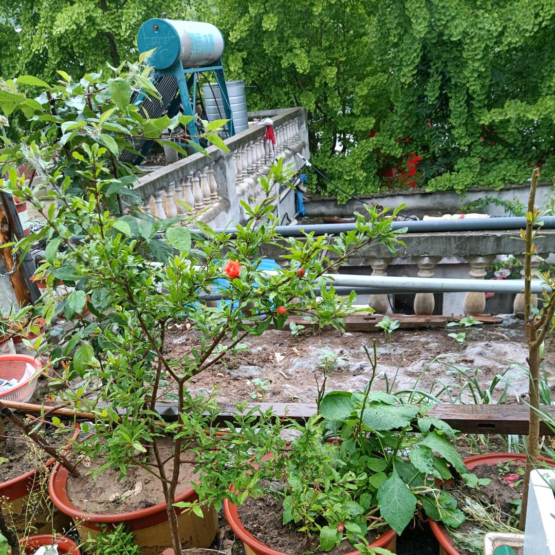 风雨