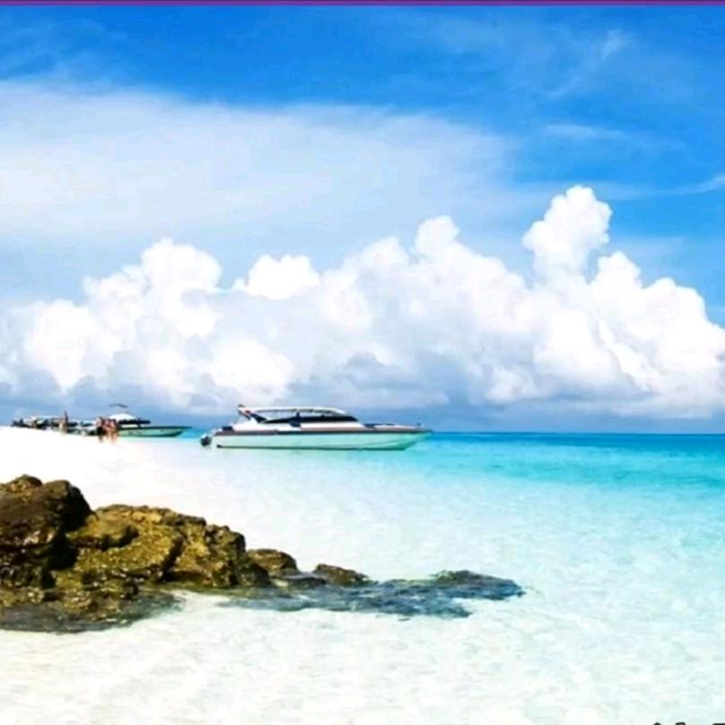 财神谷 林时平613