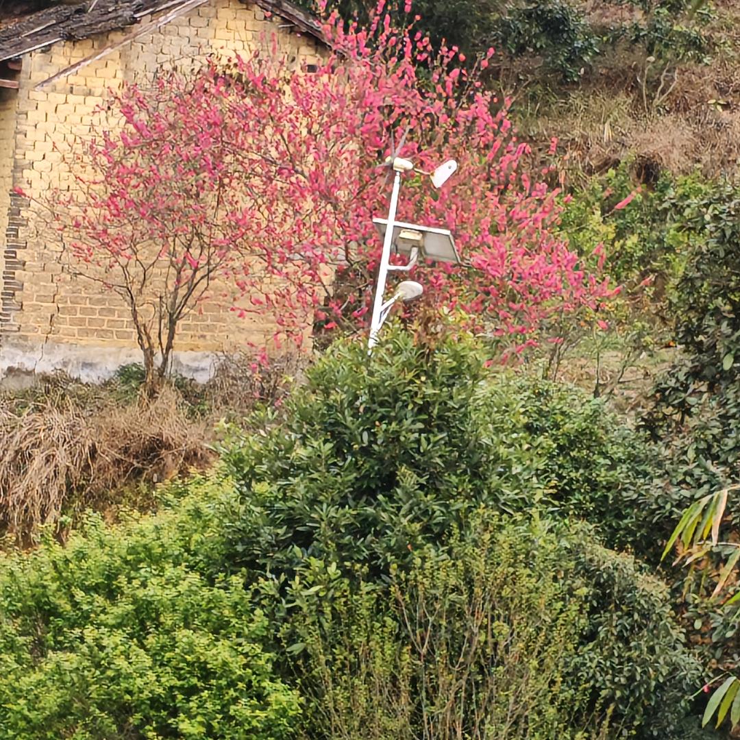 珍惜，197