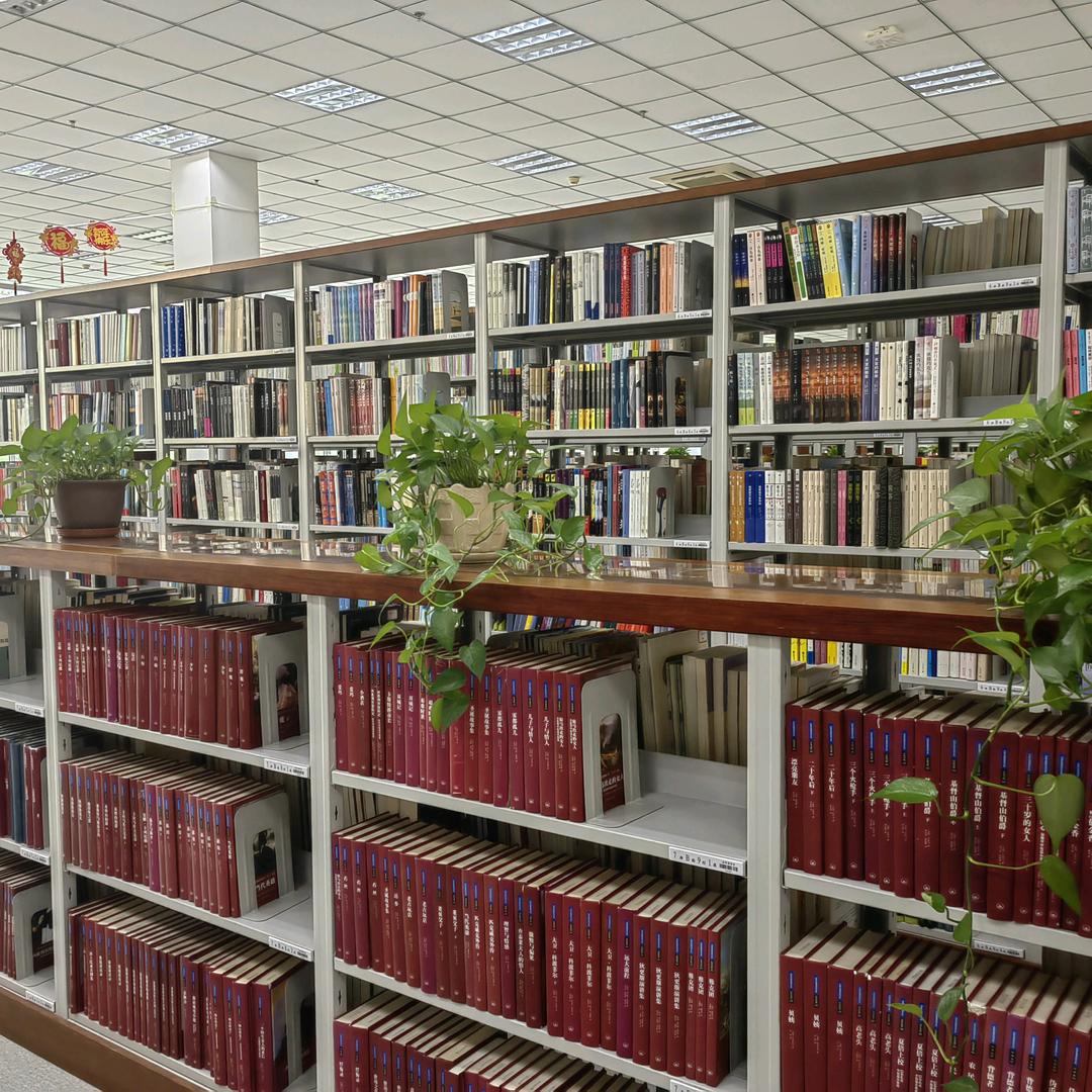 阅见美好