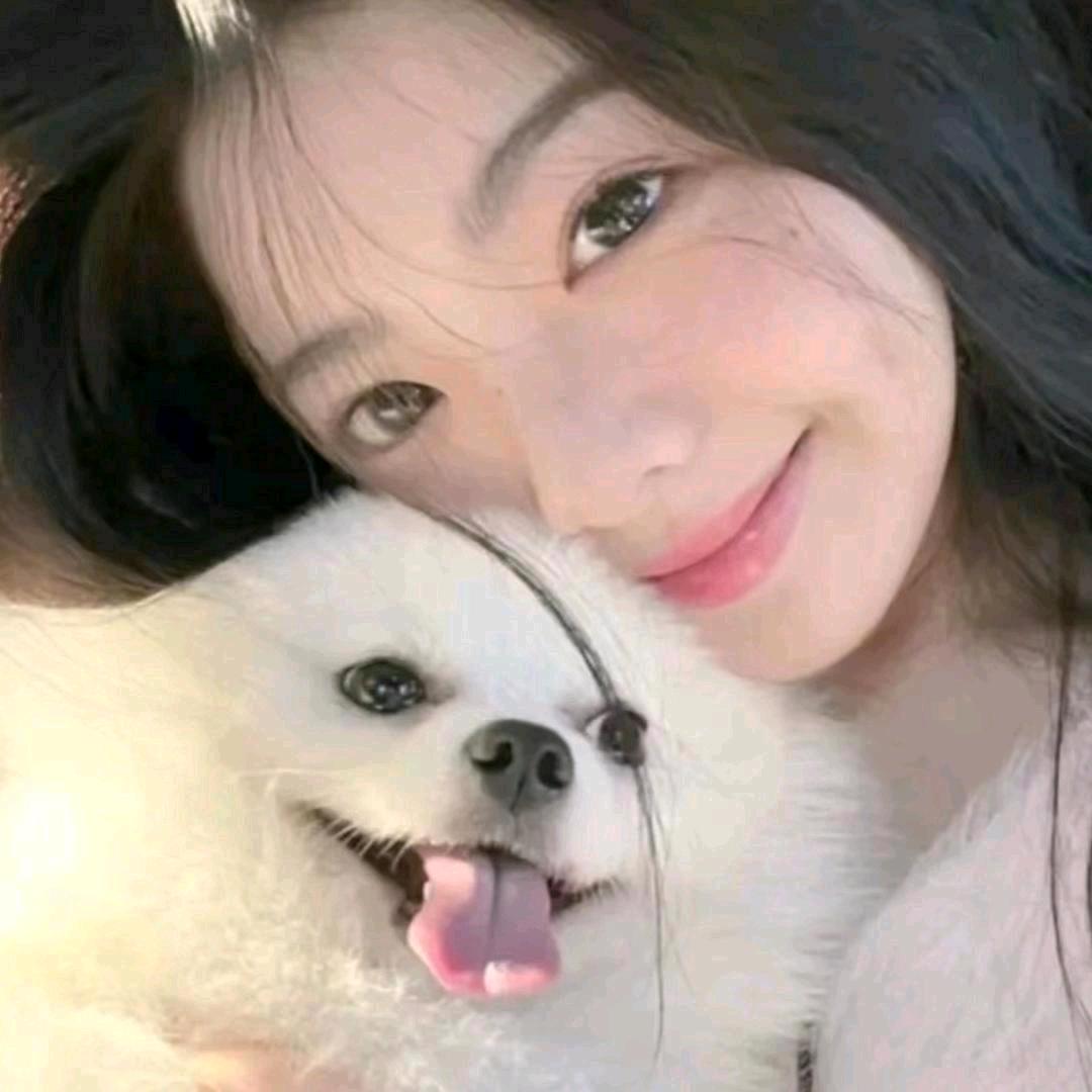 太阳花🌸