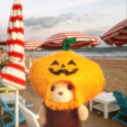 爱上金毛是我的命.