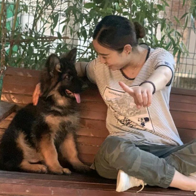 老男孩犬舍（小资女）