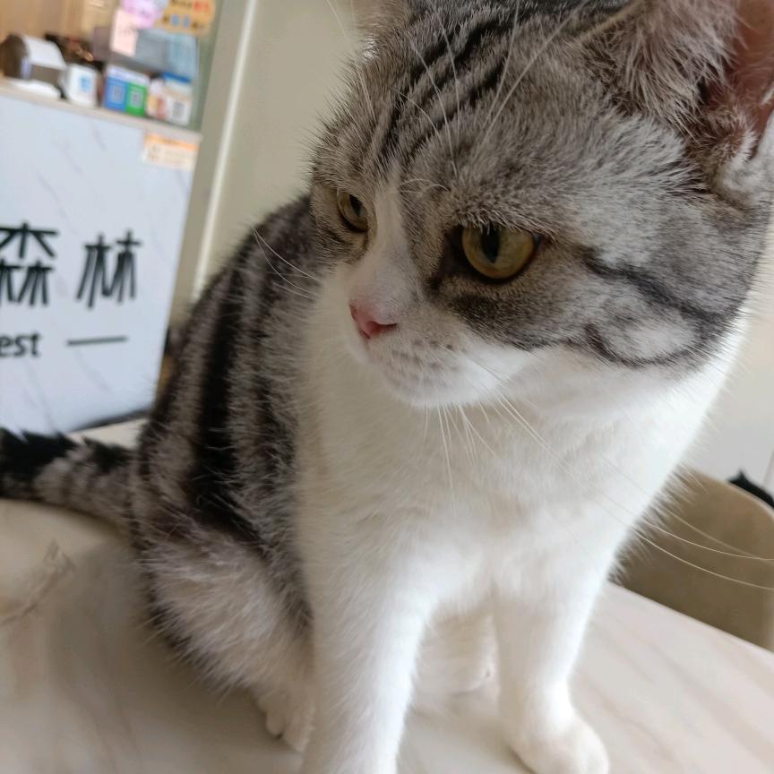 💞圆圆