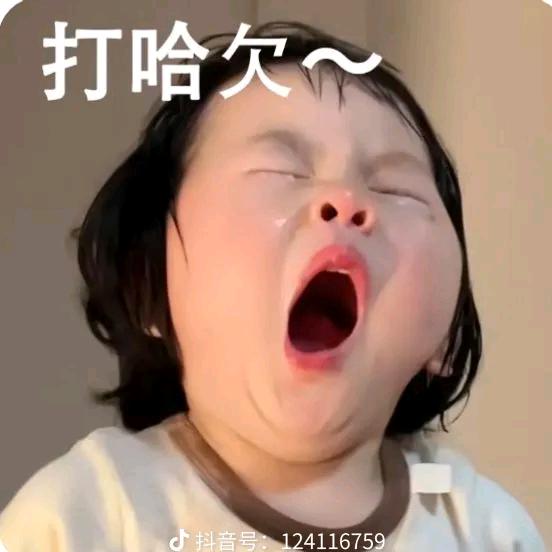 虫儿飞