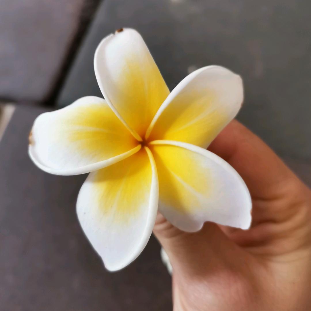 是小小呀（素材提供）