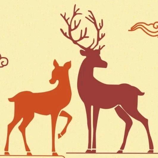 森屿金鹿🦌