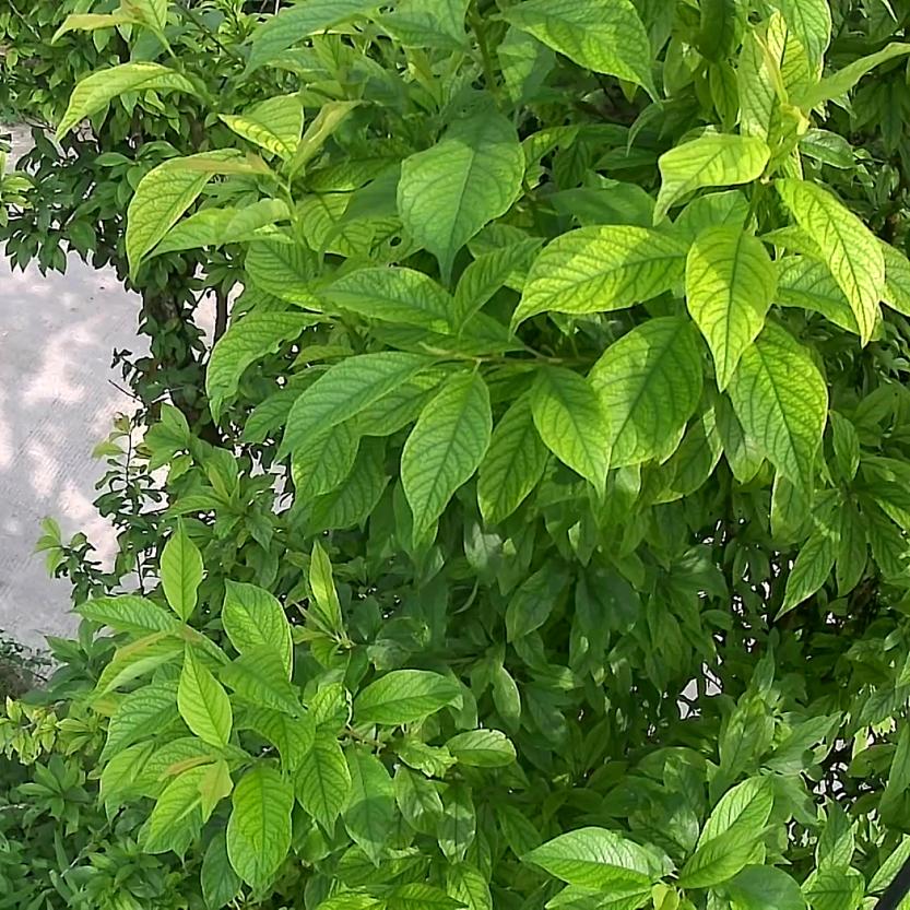 知足常乐，活在当下！