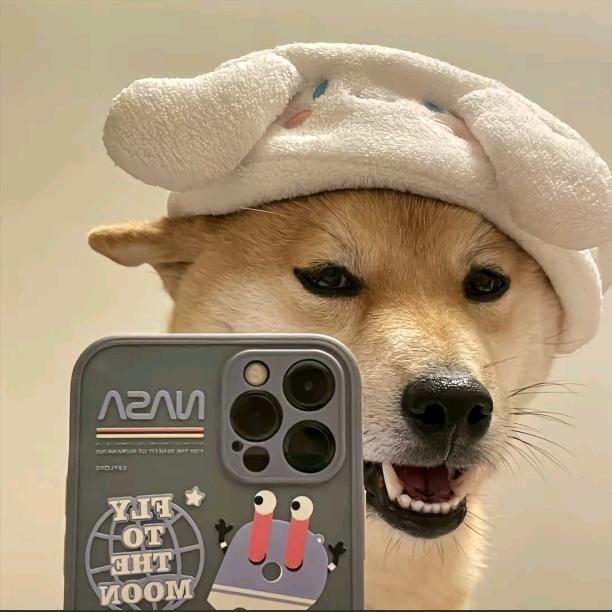 纯路人