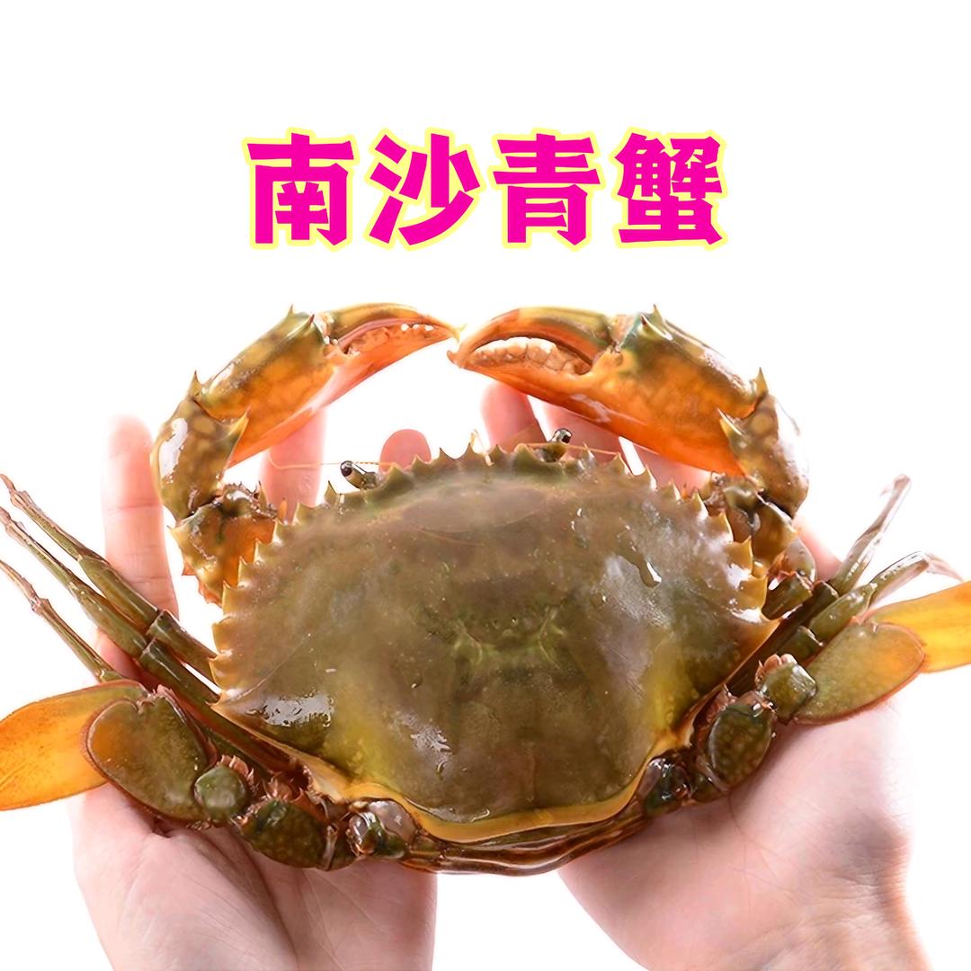 南沙蟹哥青蟹