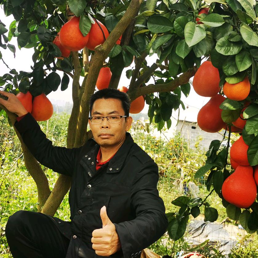 幸福农业