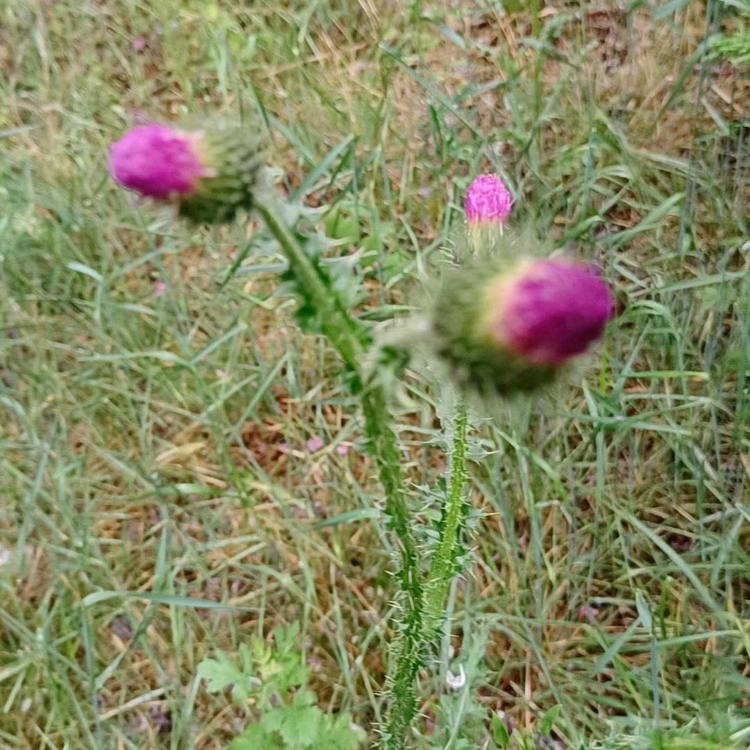 做个简单快乐的人