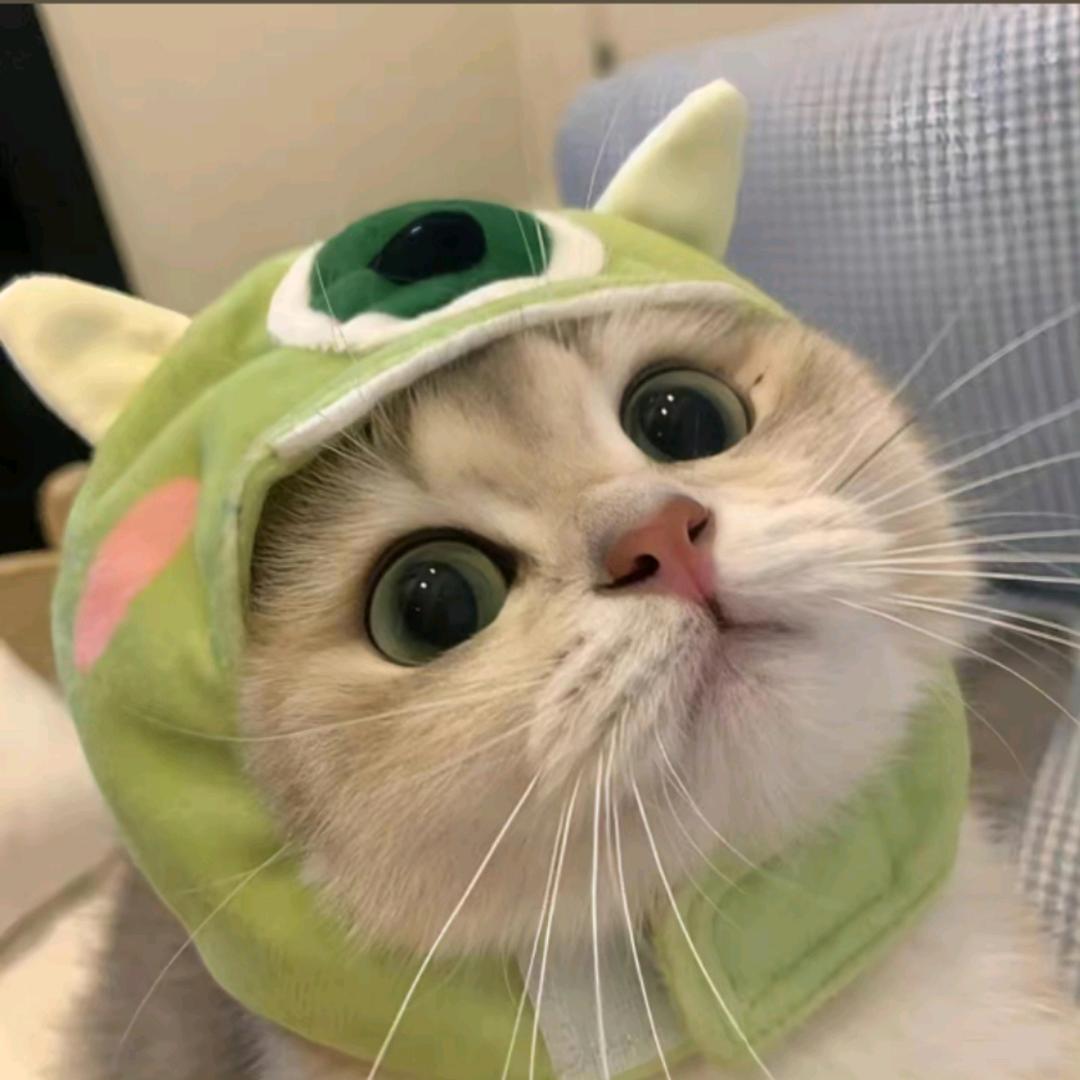 小硕