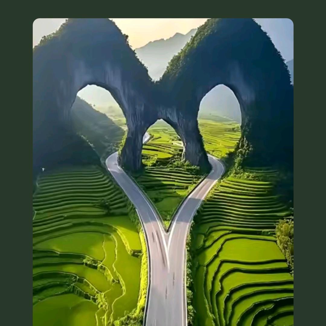 🥀⃟啸月᭄孤狼ꦻ