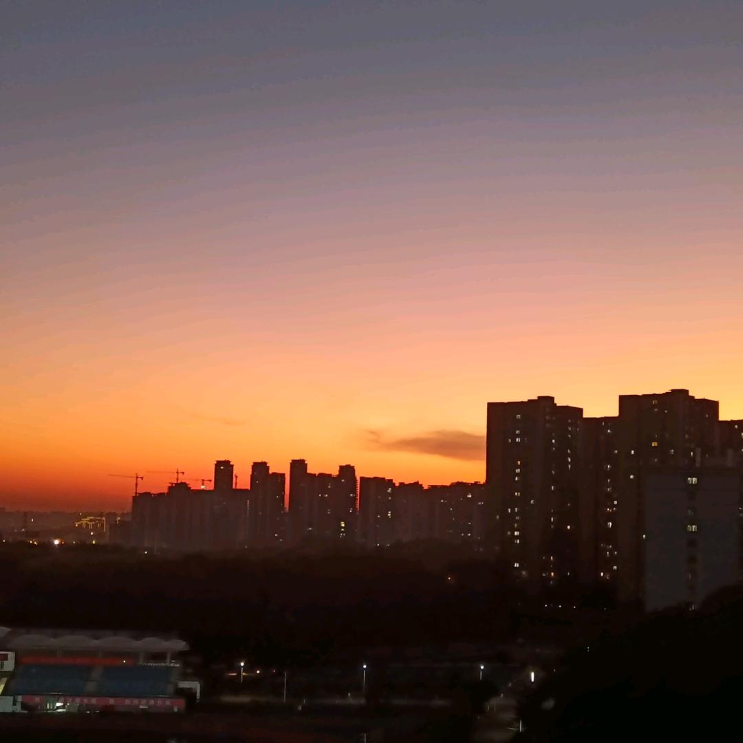 夏伊