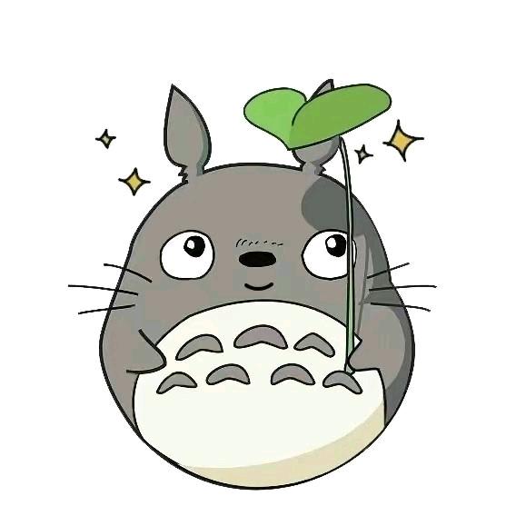 小龙猫