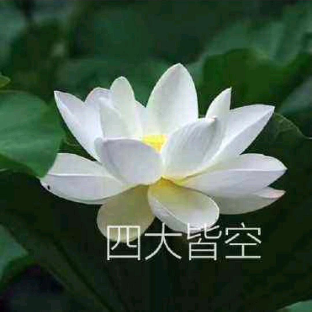 清心寡欲🤔