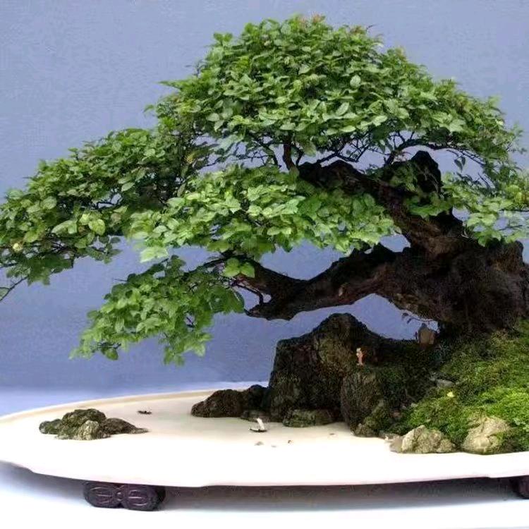 《三生有幸》阿坤