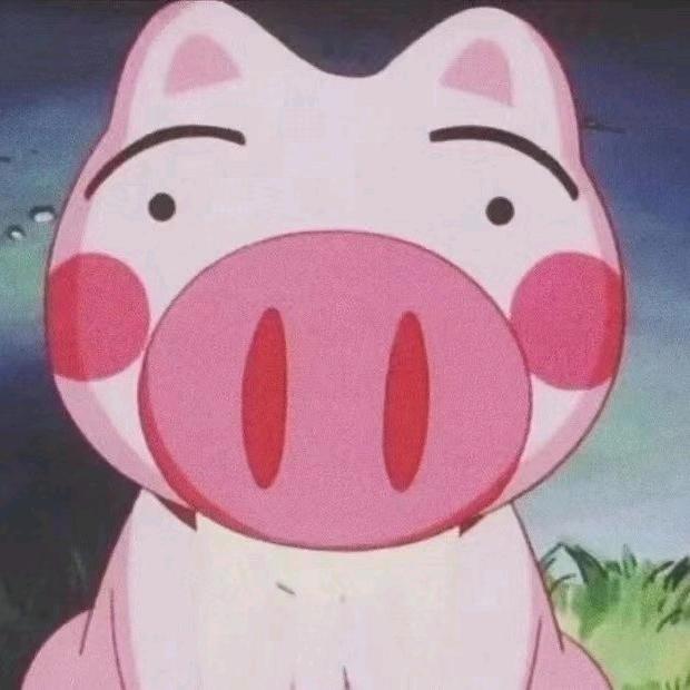 🐷🐷🐷