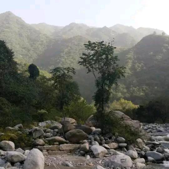 精润巨匠