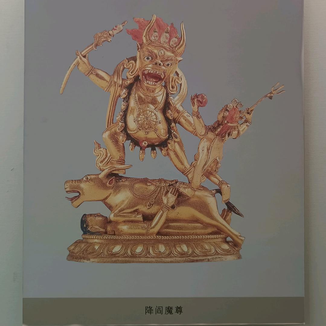 浪里个郎