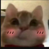 是浪七呀