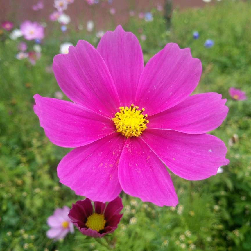 $wvB♬♩♪歌手ANU😎