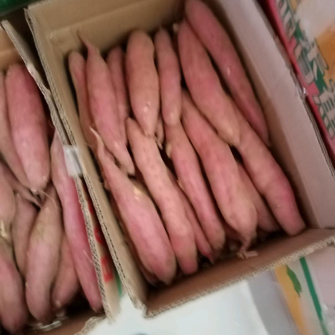 东山再起