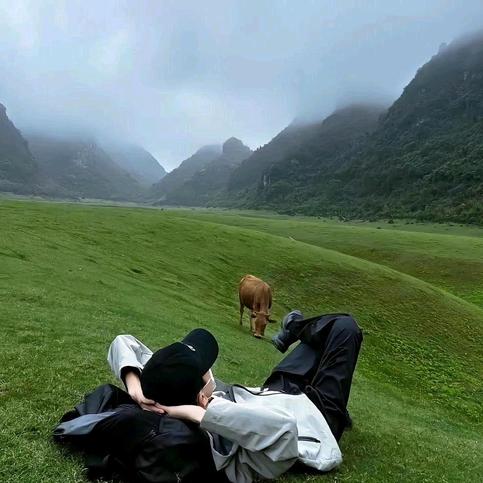 @胡 湘 川