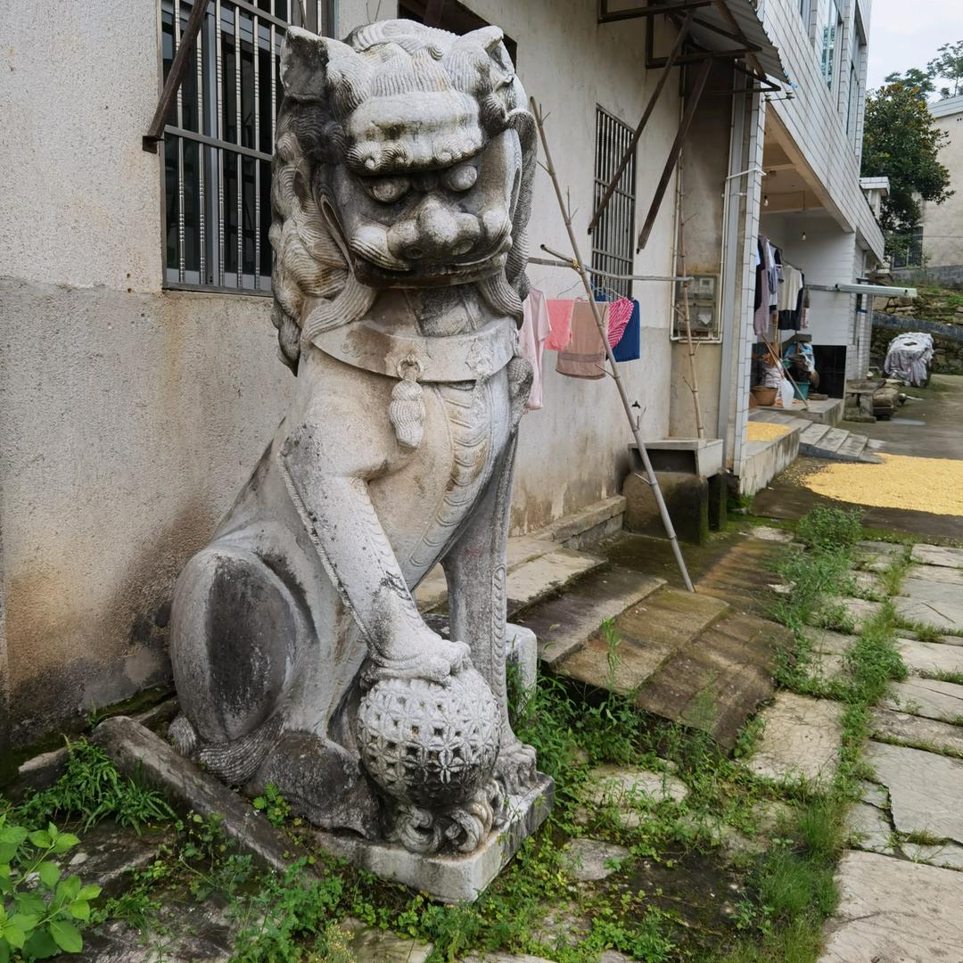 华仔古玩