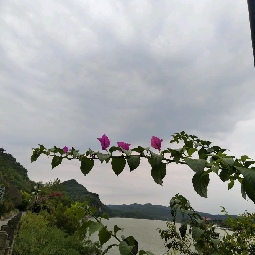 背影