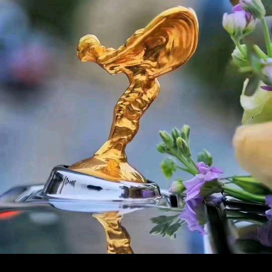 太原市红太阳旧机动车销售有限公司