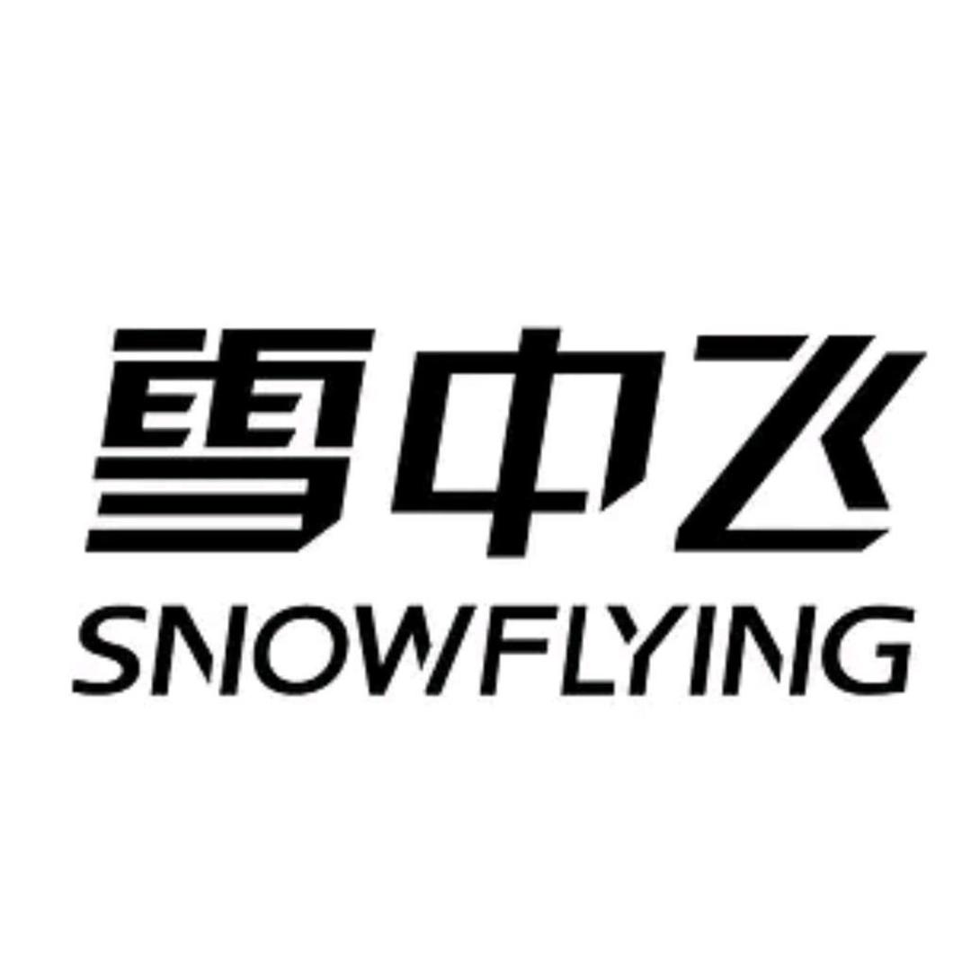 雪中飞