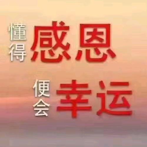 叶紫文案（橱窗有好物分享）
