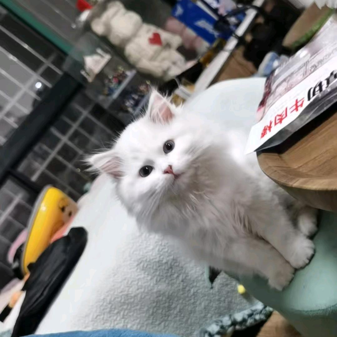 亞霸霸