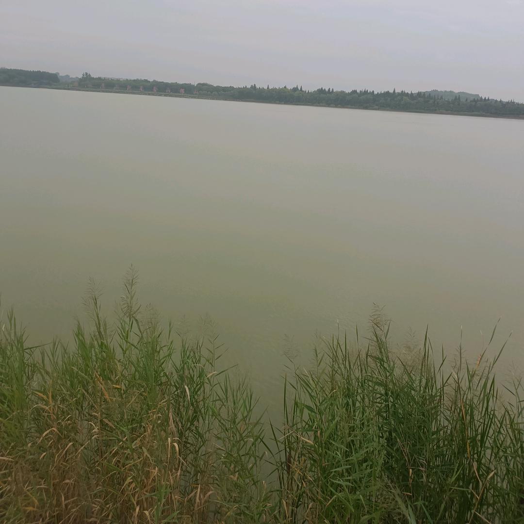 不发脾气只发财🌹🌹🌹