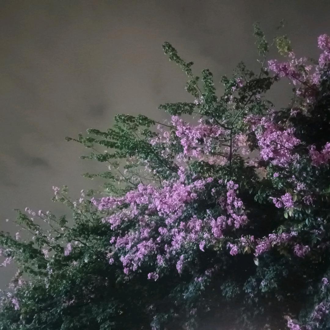 我是保安