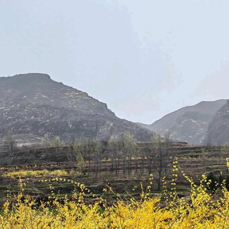 💕 ❧⁵²⁰城府申陈🕊꧔ꦿ᭄💞