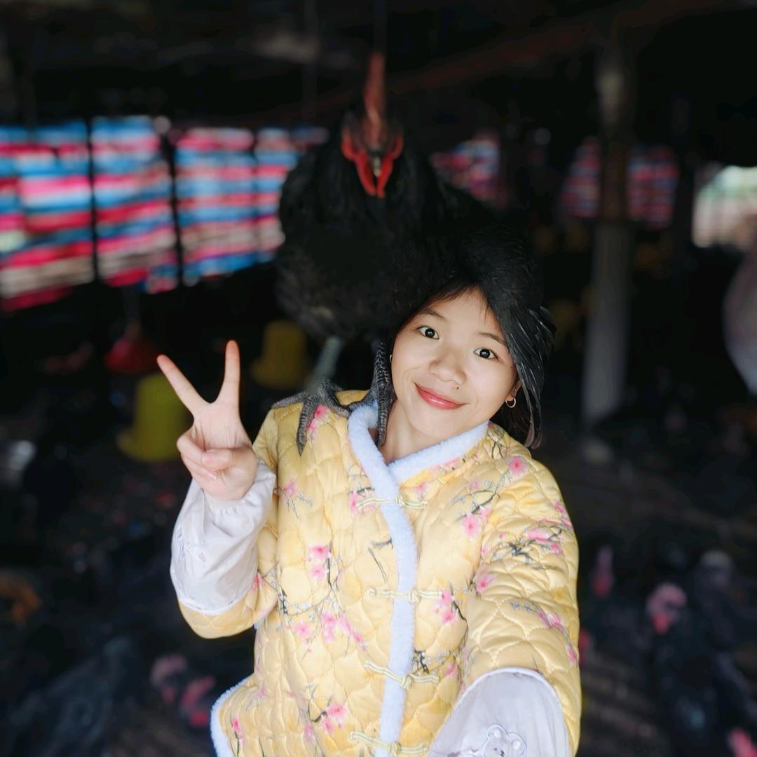 兴文县→莲花水栏乌骨鸡养殖