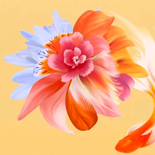 好物推荐！(进店看看吧)