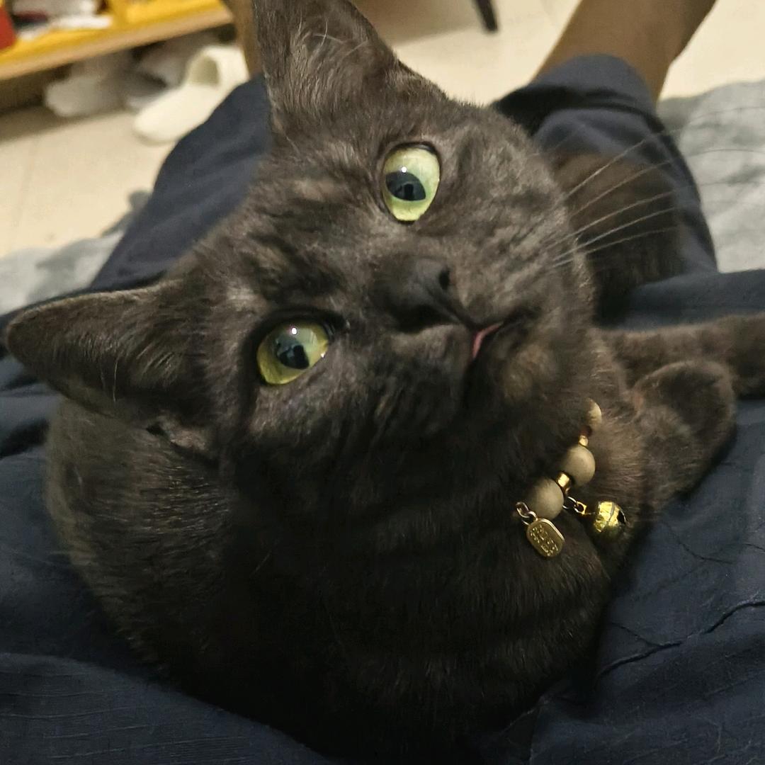 云海