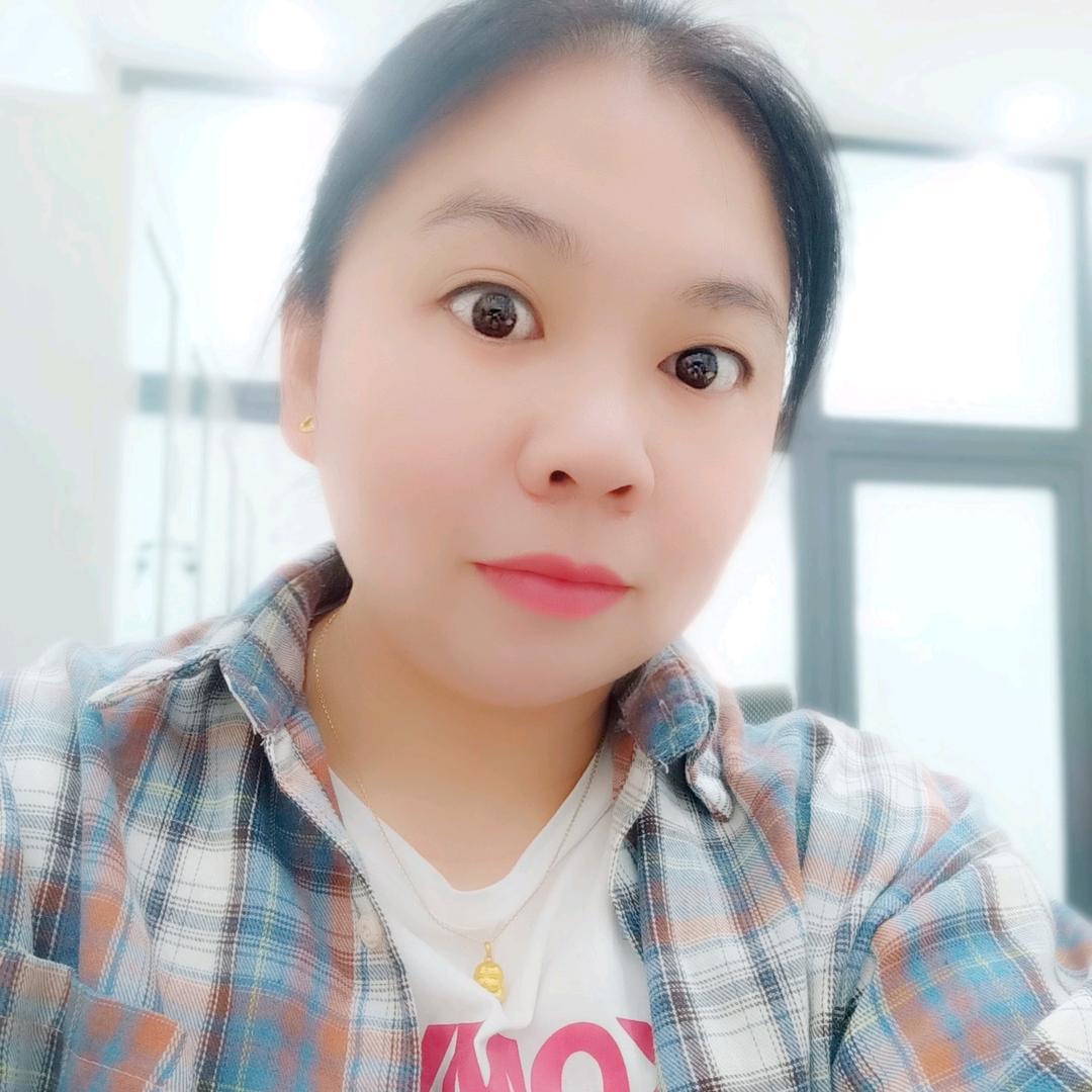 追梦的海豚