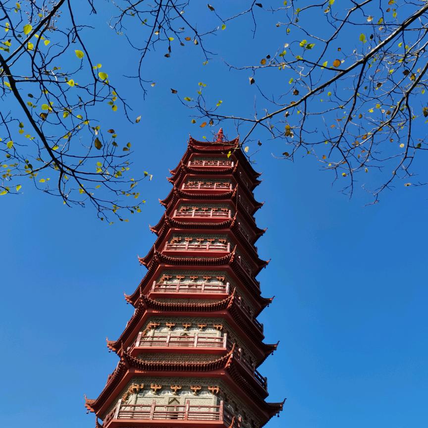 御风飞翔