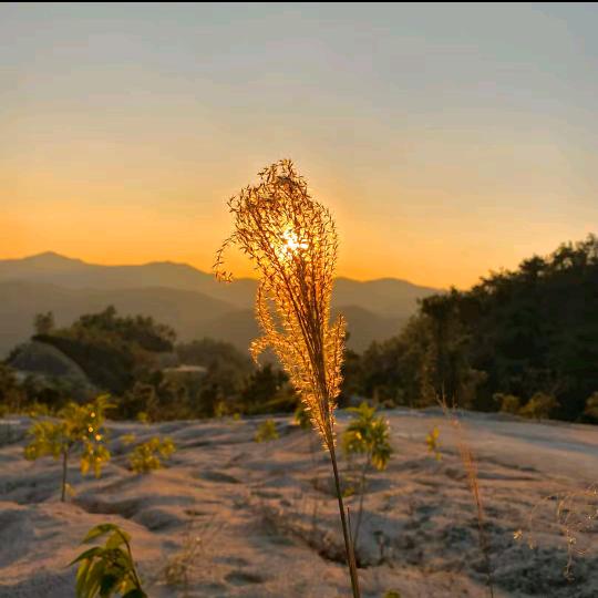 竖屏传奇手游0.1折