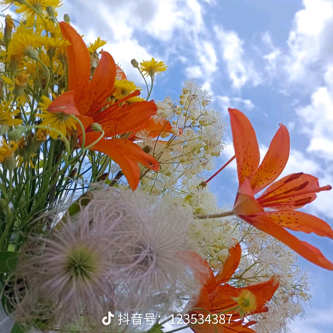 萱萱  日常生活