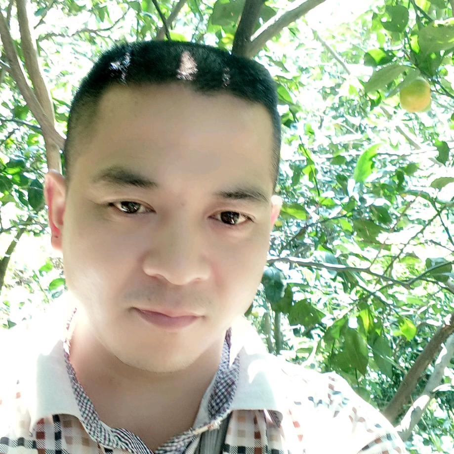 农村向哥