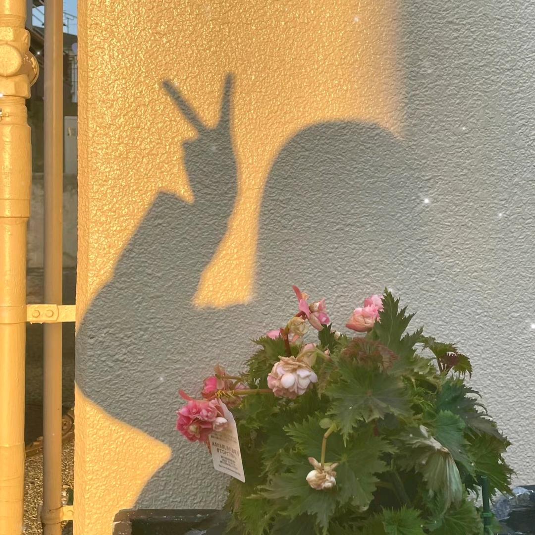 初听