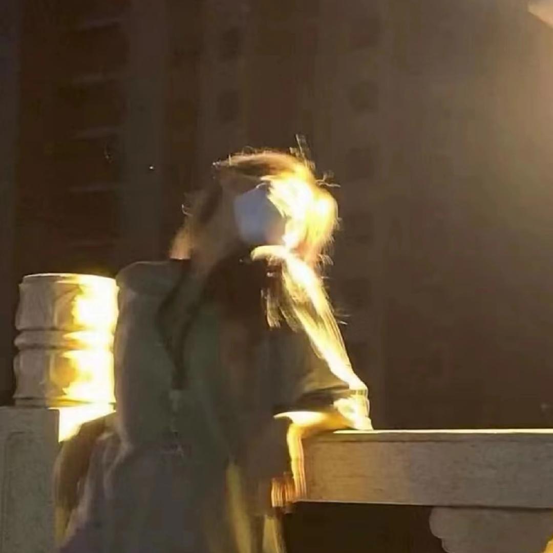 南风知意