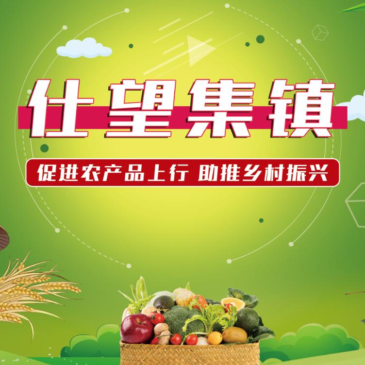 仕望集镇乡村振兴