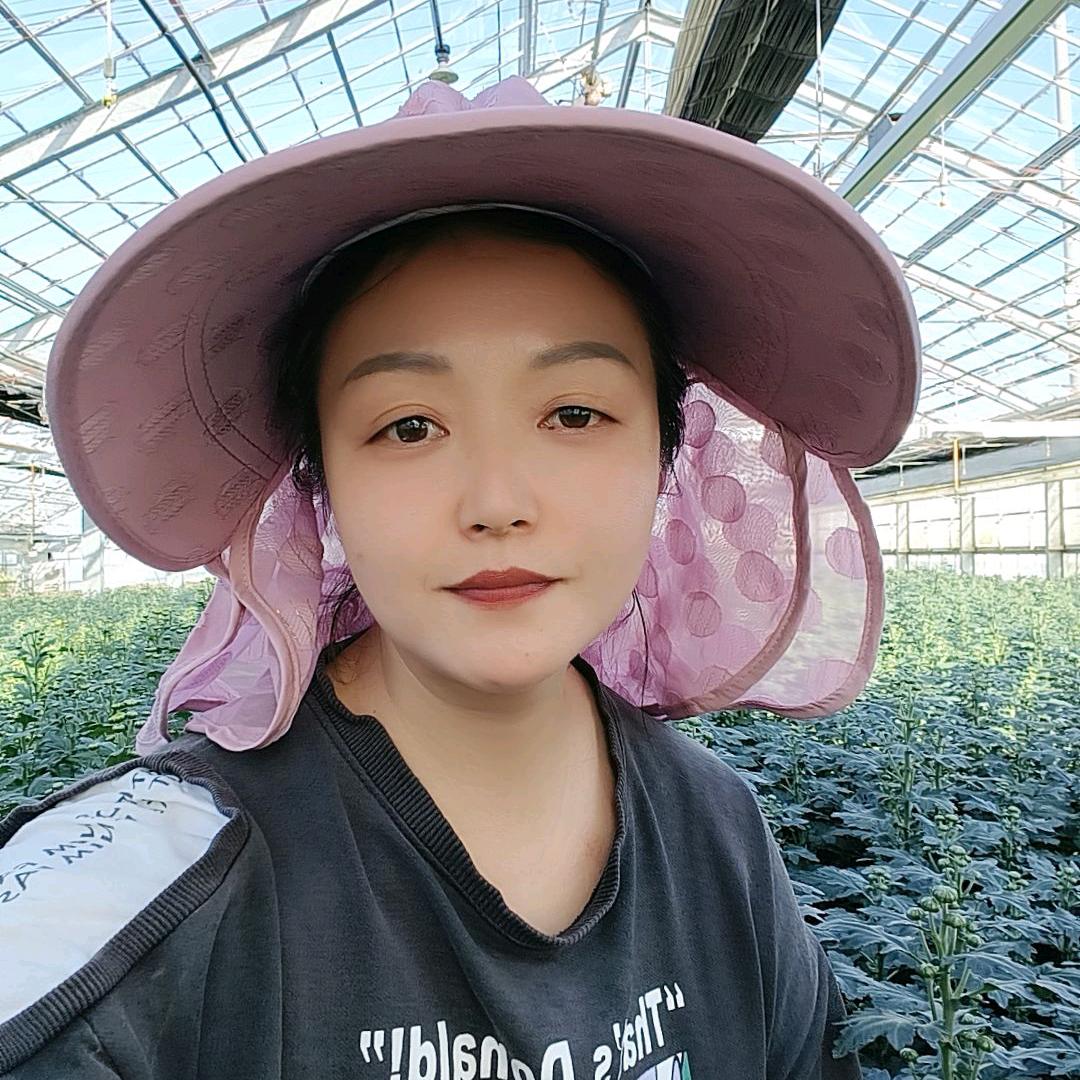 陕西芳芳在日本(种菊花)